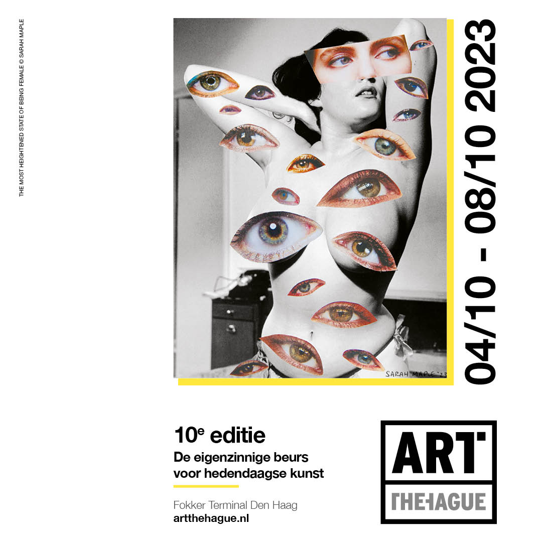 Image module
